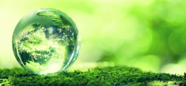 Léxico erróneo y nuevo negocio mundial