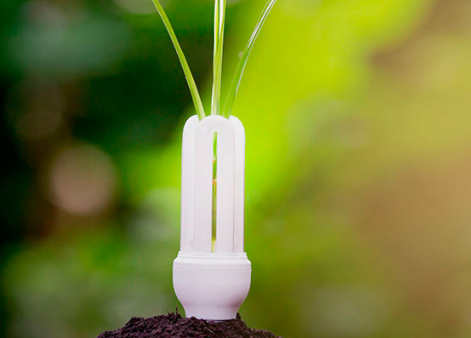 La superstición energética de México