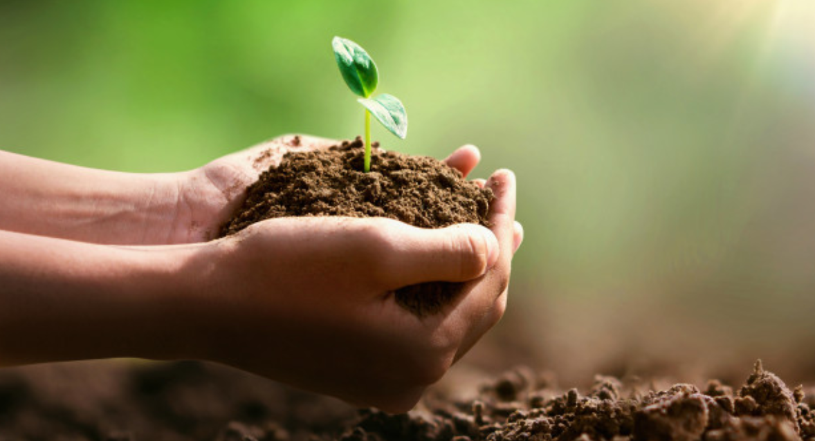 Las empresas a nivel mundial apuestan hacia la transición ecológica