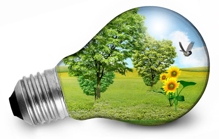 Hoy 21 de octubre Día Mundial del Ahorro de Energía: Esto dijo la Secretaria de Energía