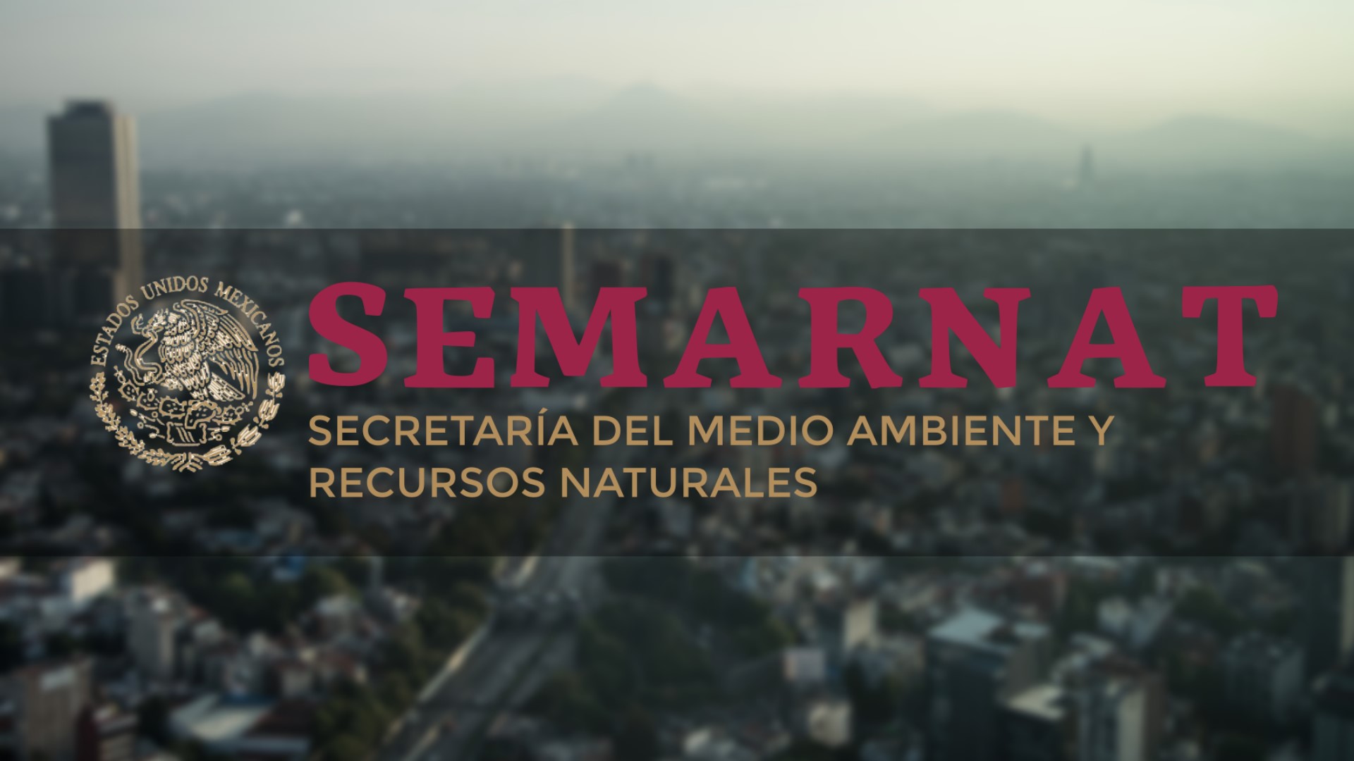 Publica SEMARNAT medidas de simplificación para trámites de gestión integral de materiales y actividades riesgosas