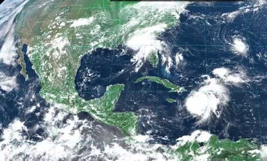 Consume Tecmilenio 61% de su energía de fuentes renovables