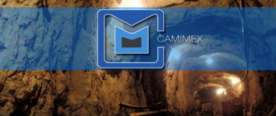 Reforma eléctrica conlleva graves implicaciones ambientales, económicas y sociales: CAMIMEX