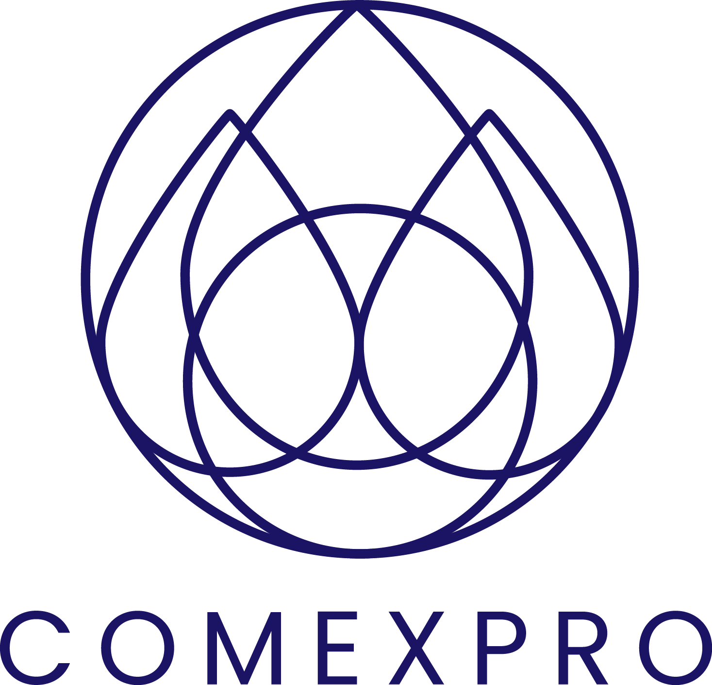 Llama COMEXPRO a establecer consenso en reformas que fortalezcan al sector energía