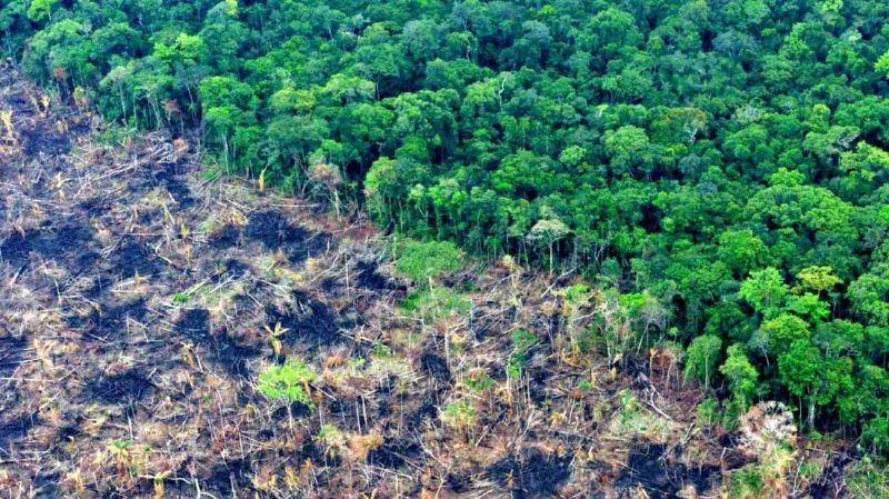 Día Mundial del Medio ambiente 2024: ONU promueve restauración de suelos  y resiliencia climática