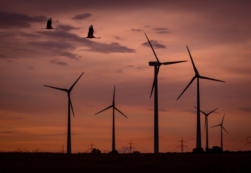 Tamaulipas lidera capacidad de generación eléctrica en México