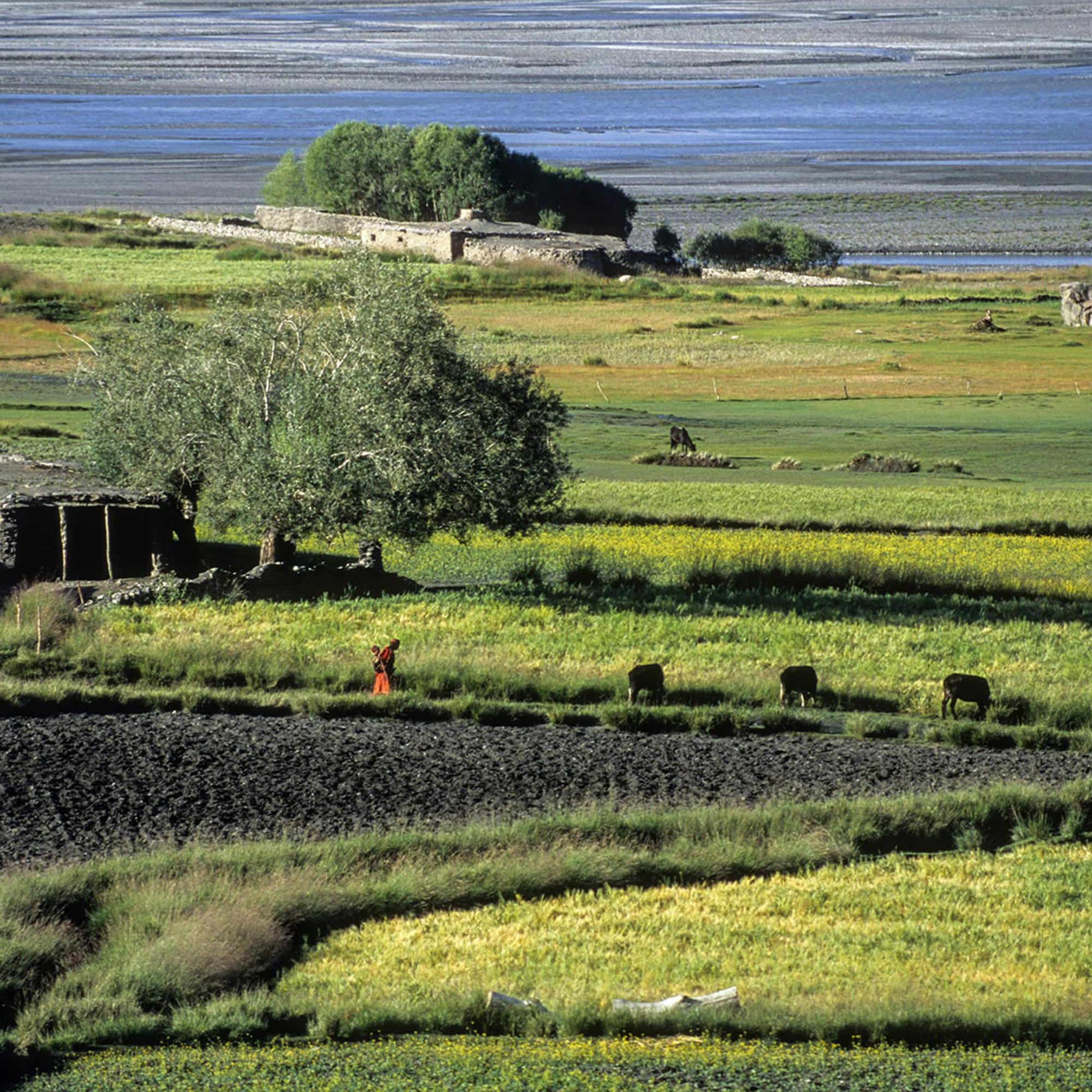 Patagonia lanza Home Planet Fund en el Día de la Tierra: una iniciativa innovadora para la conservación ambiental global