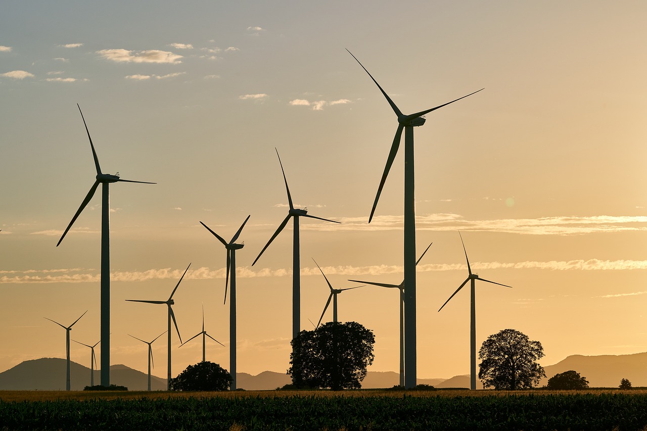 Reforma judicial frenará inversiones, advierte Asociación de Energía Eólica