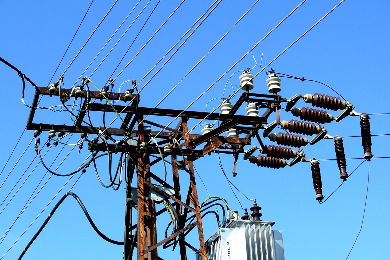 Flory Dieck: El mundo entra en la era electricidad