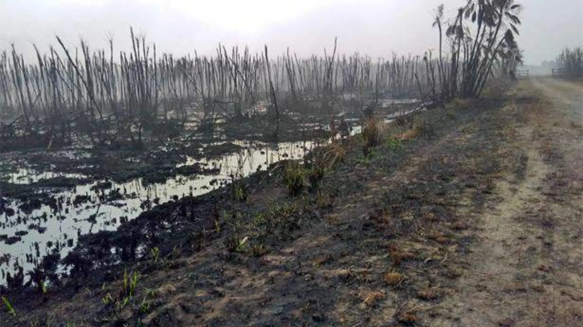 Diputado exige a Pemex remediar contaminación en ejido de Tabasco