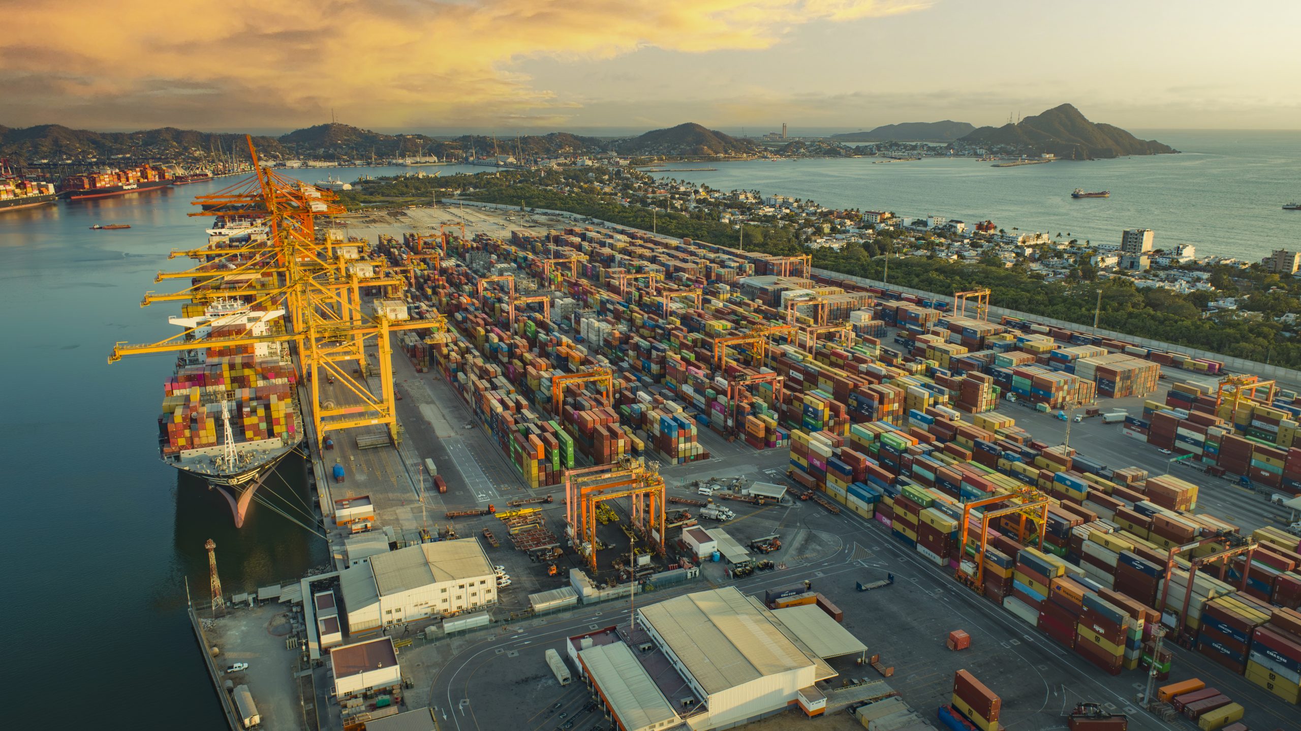 Carga de contenedores creció 12% en el Puerto de Manzanillo 2024