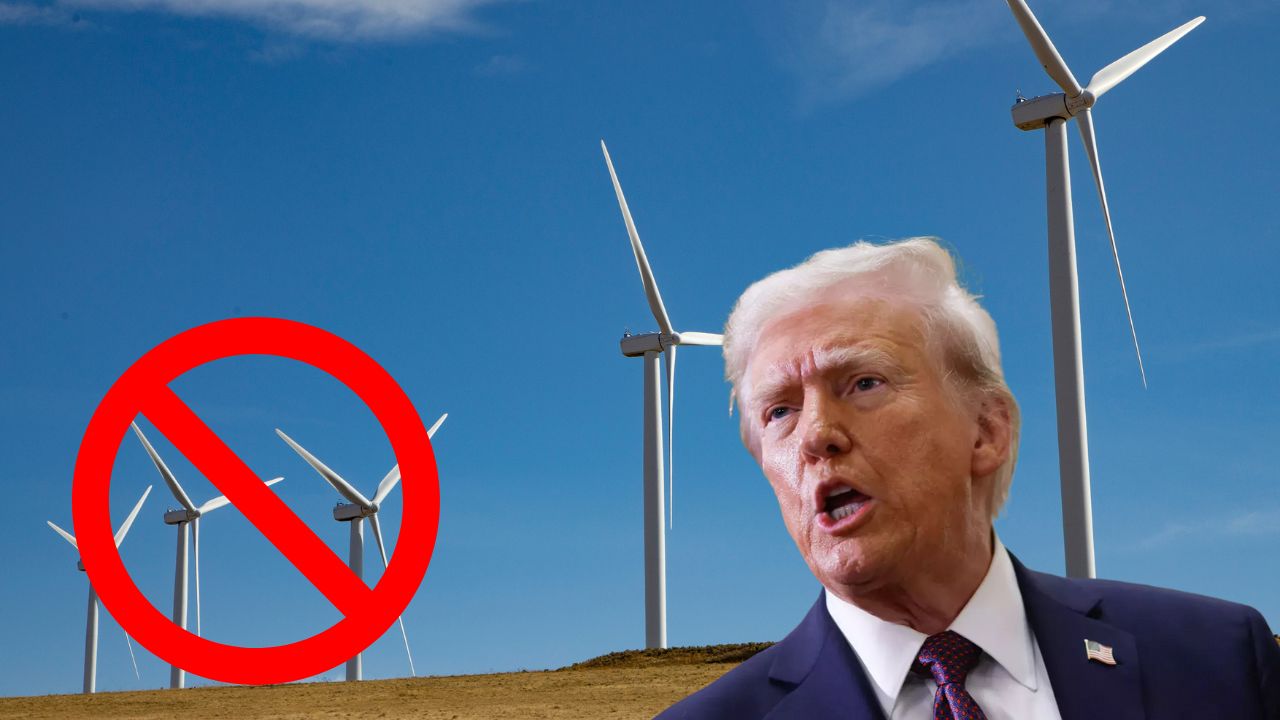 Líderes prevén menos regulación ambiental y financiamiento verde en temporada Trump
